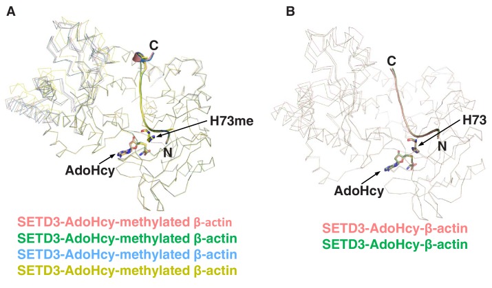 Figure 1—figure supplement 4.