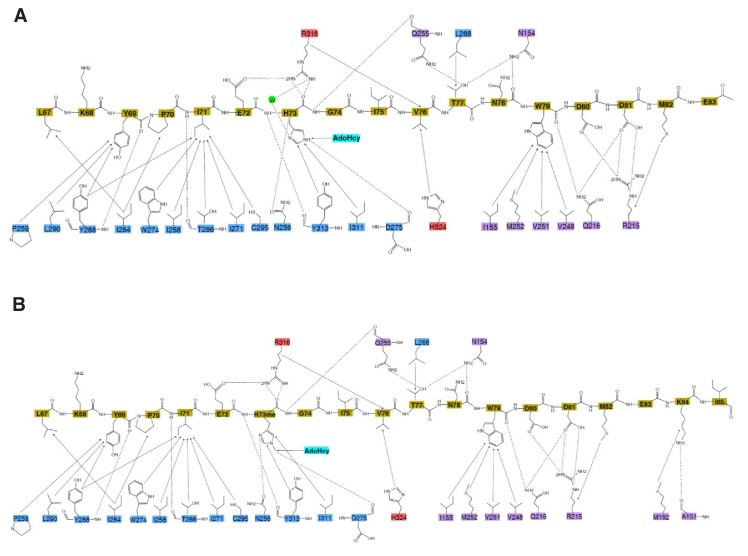 Figure 2—figure supplement 2.