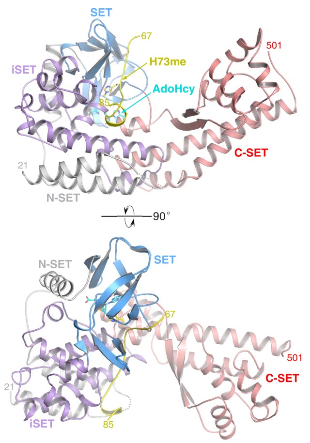 Figure 1—figure supplement 8.