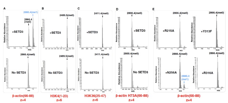 Figure 1—figure supplement 1.