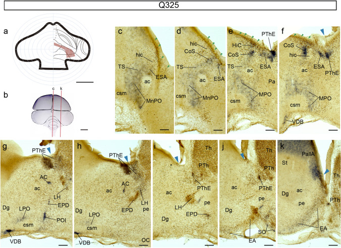 Fig. 8