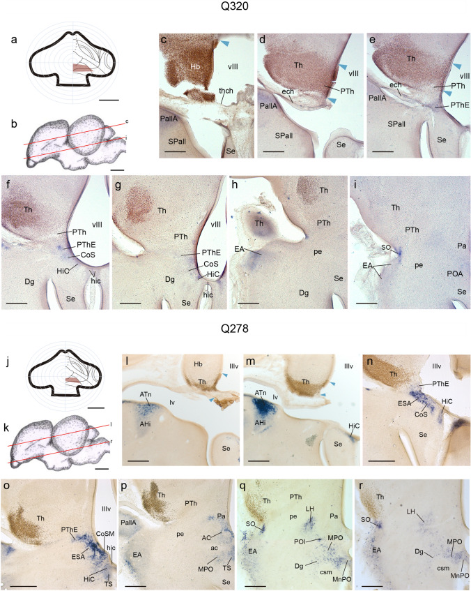 Fig. 9