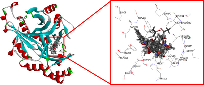 Figure 5