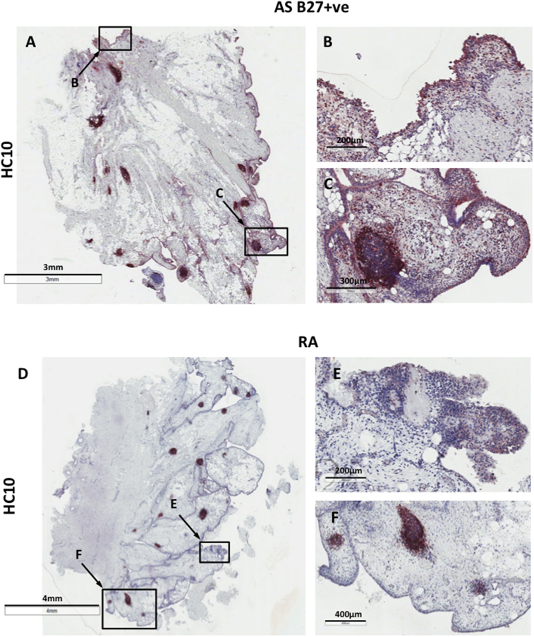 Fig. 1