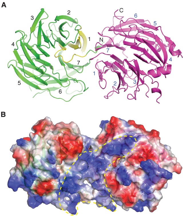 Figure 1.