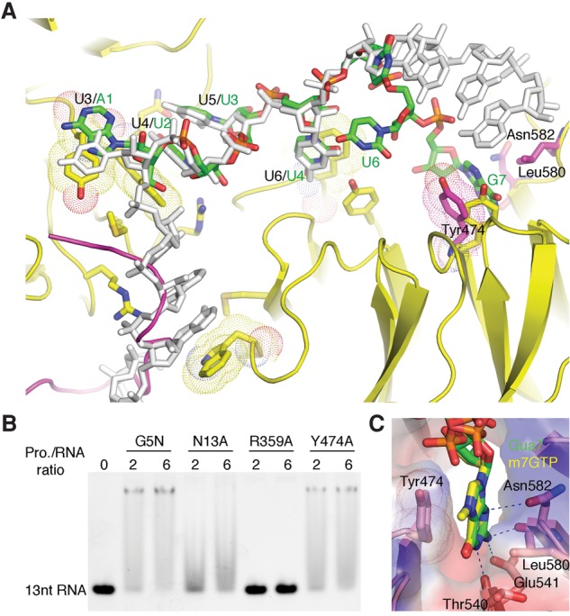 Figure 6.