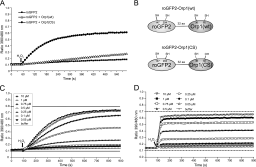 FIGURE 1.