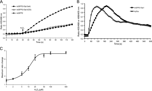 FIGURE 5.