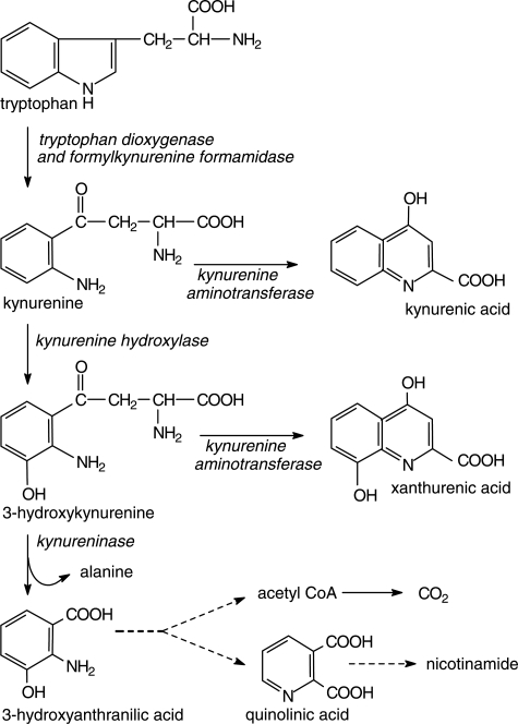 Fig. 1.