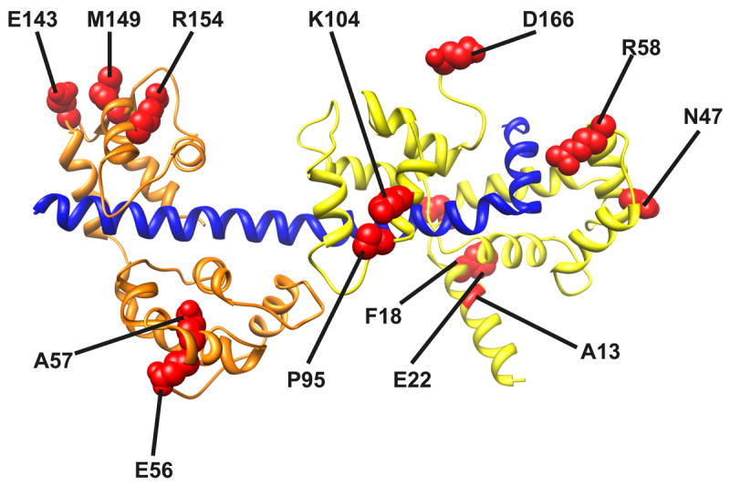 Figure. 3