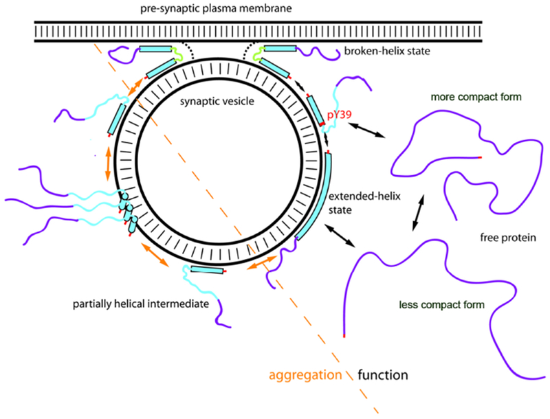 Figure 2: