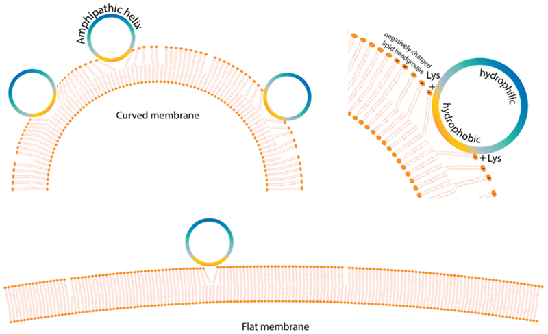 Figure 1: