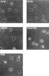 FIG. 5