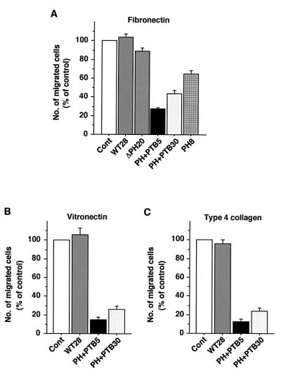 FIG. 6