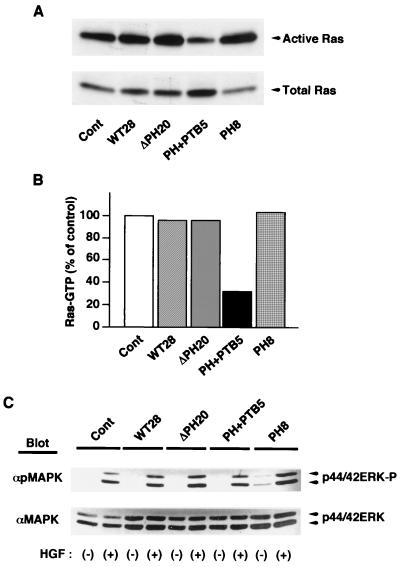 FIG. 8