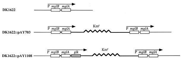 FIG. 5