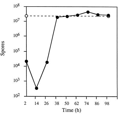 FIG. 7