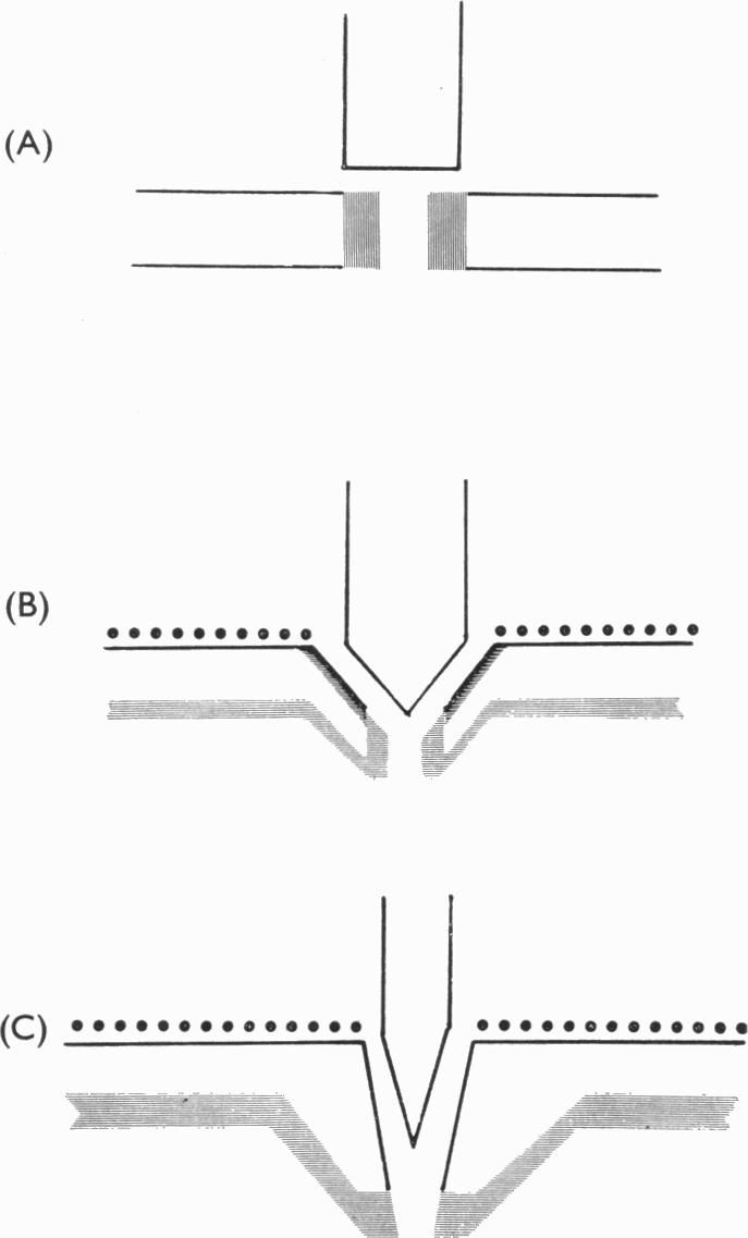 Fig. 12