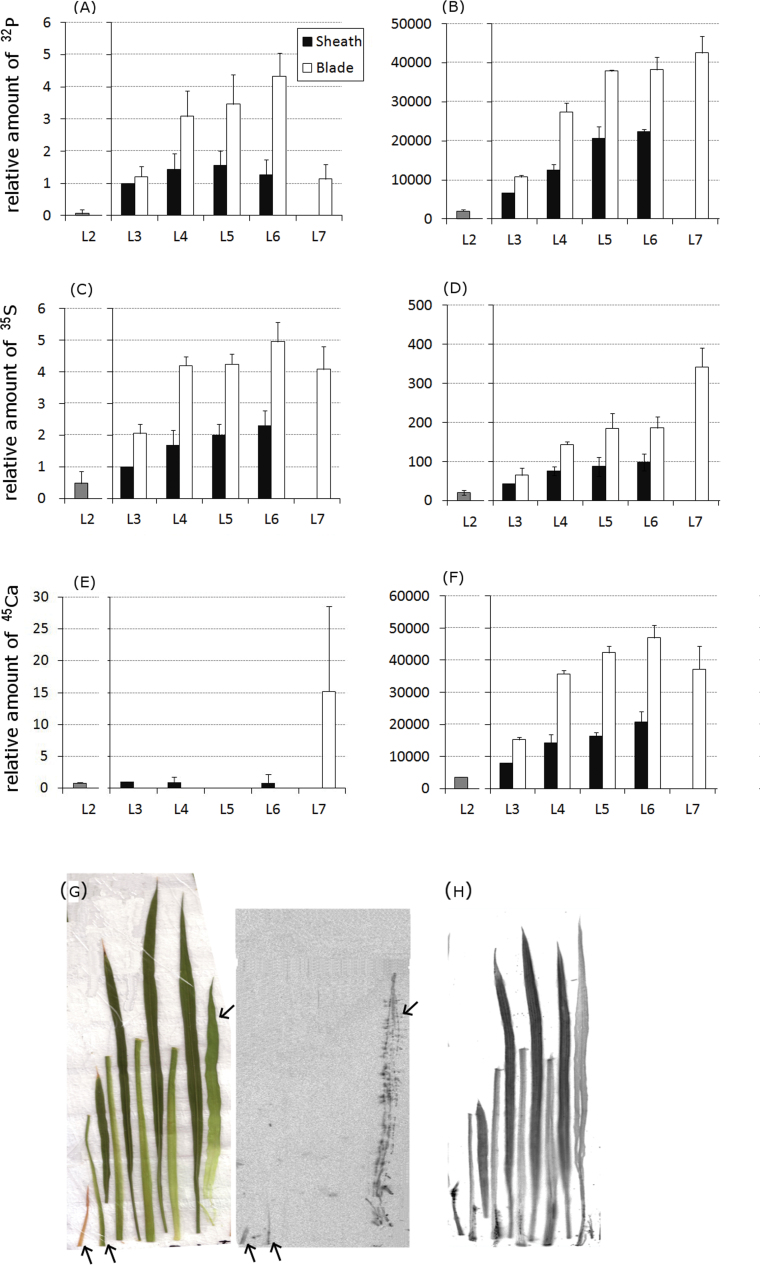 Fig. 1. 