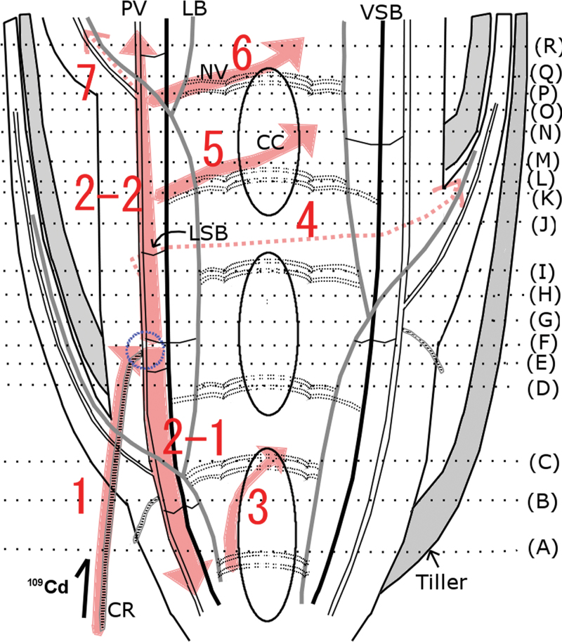 Fig. 6. 