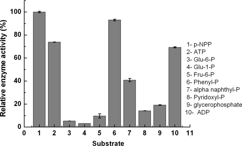 Fig. 4