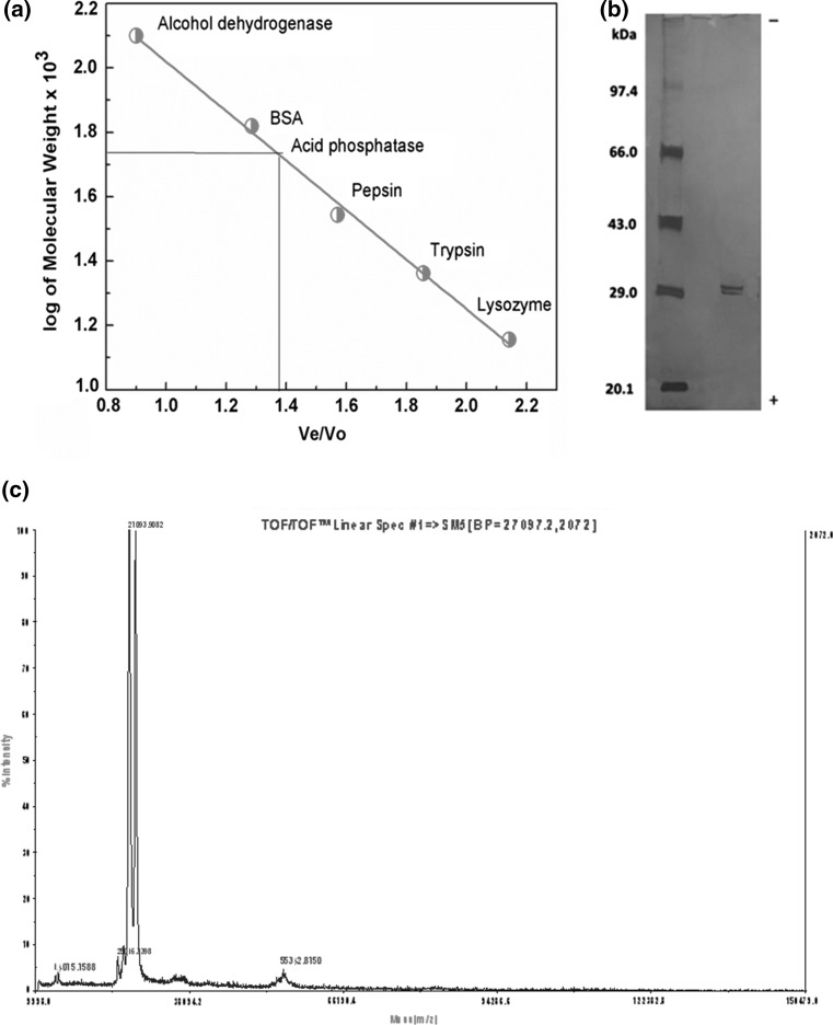 Fig. 2