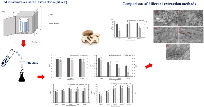 graphic file with name fx1.jpg