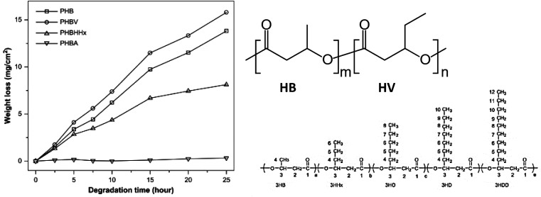 Fig. 18