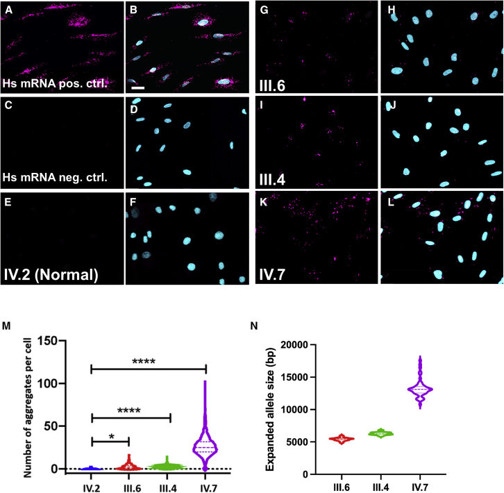 Figure 4