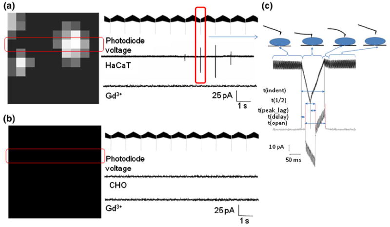 FIGURE 4