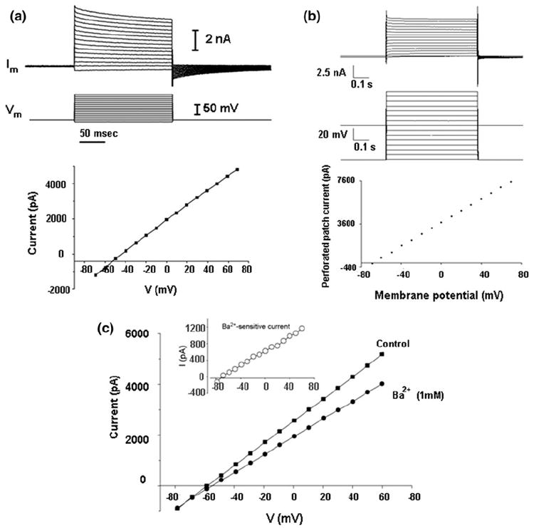 FIGURE 3