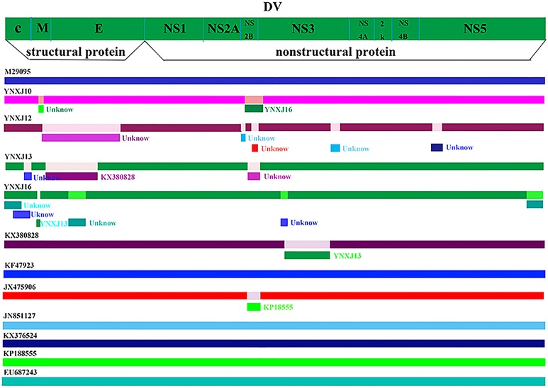 Figure 4