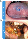 Figure 3.