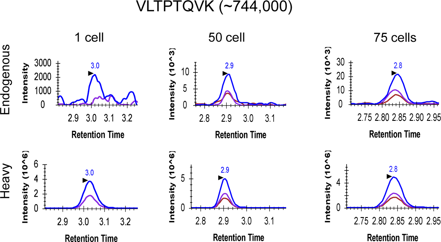 Figure 3: