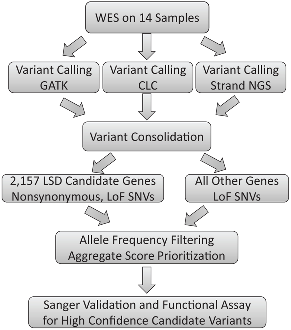 Figure 1: