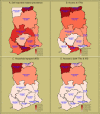 Fig. 2