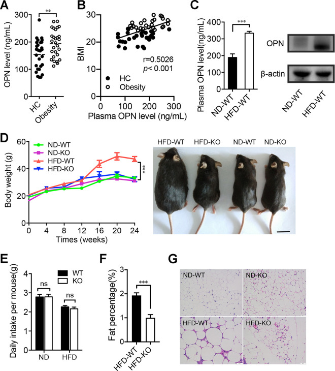 FIG 1