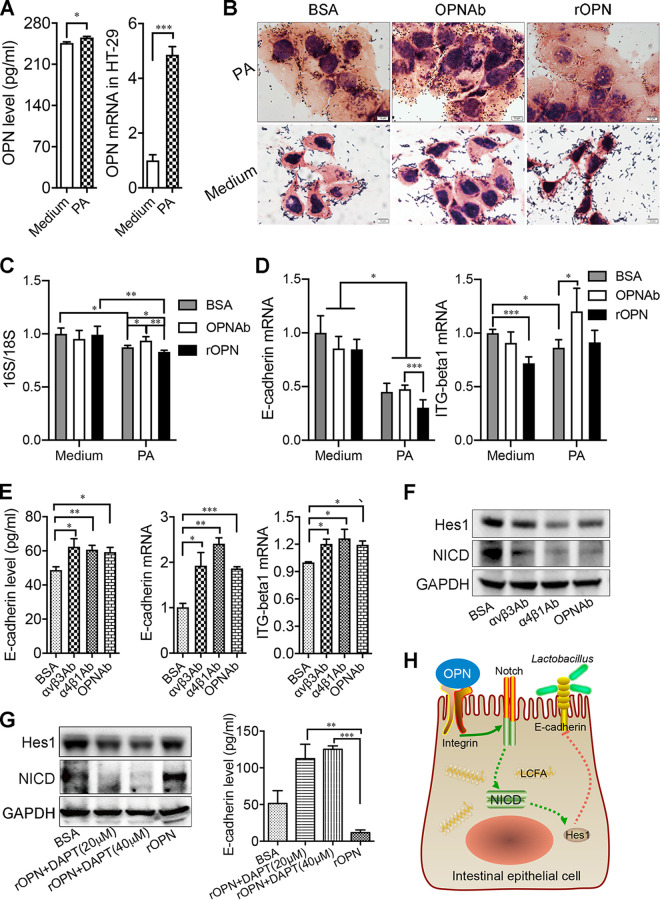 FIG 6