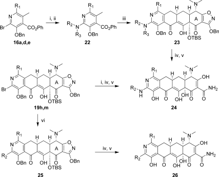 Scheme 7