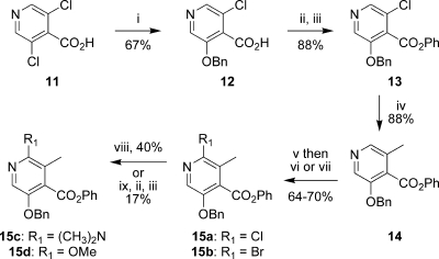 Scheme 2