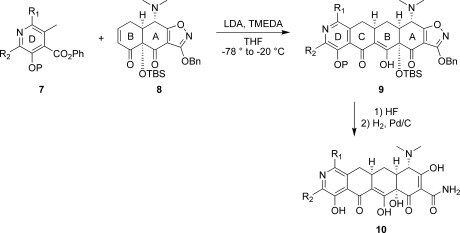 Scheme 1