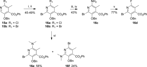 Scheme 3