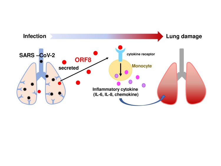 Graphical Abstract