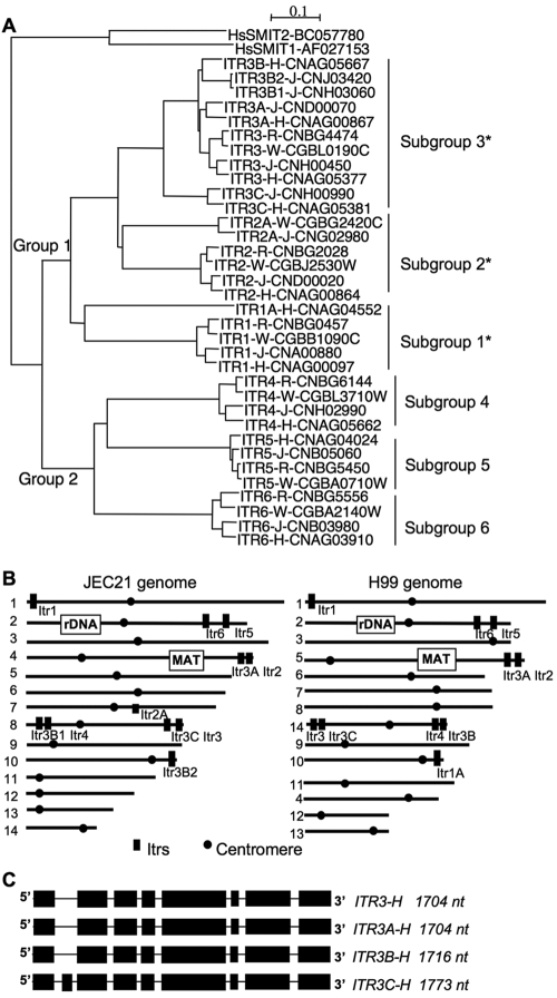 FIG 2 