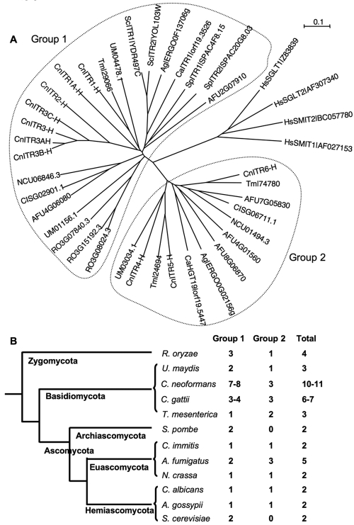 FIG 3 