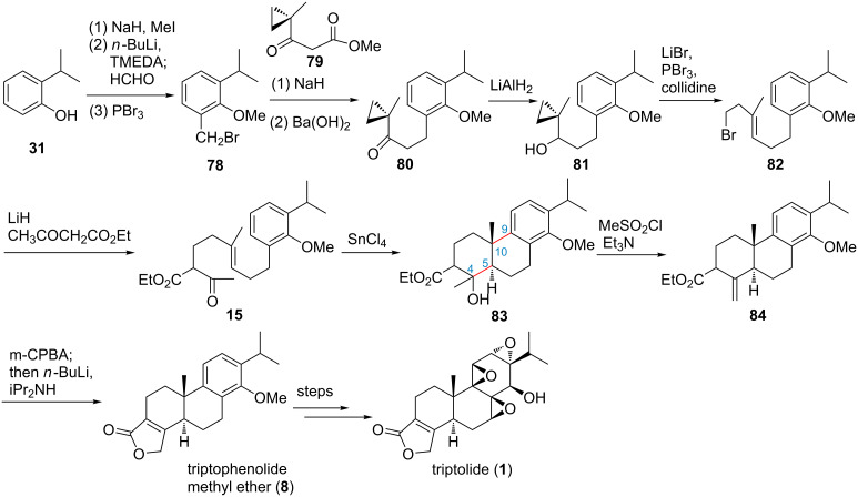 Scheme 6