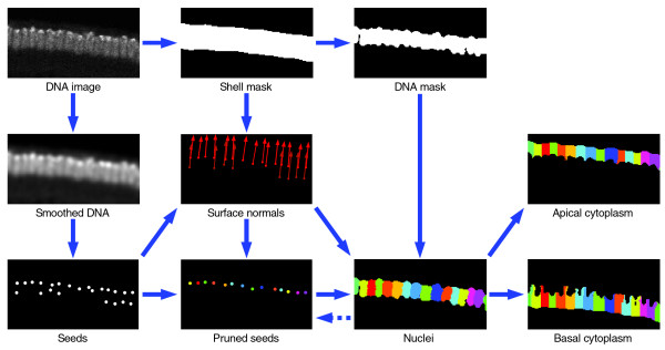 Figure 11