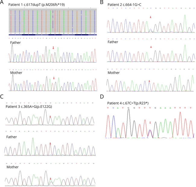 Figure 4