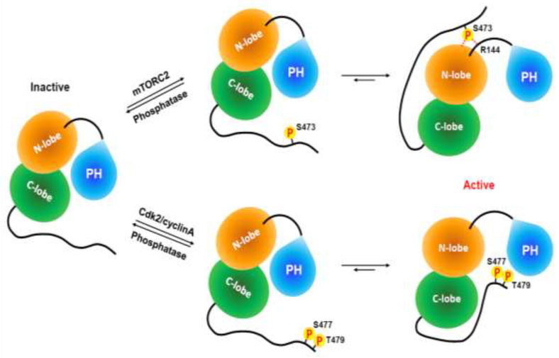 Figure 3.