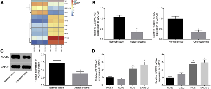 Figure 1